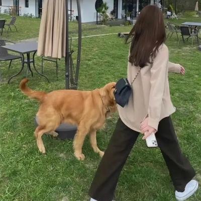 超级无敌疯狂兔八哥
